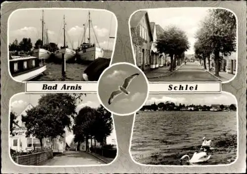 Ak Bad Arnis an der Schlei, Teilansichten, Boote, Schwäne, Häuser