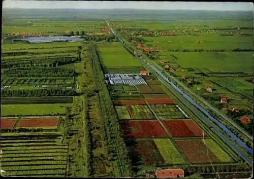 Ak Wiesmoor in Ostfriesland, Luftbild, Panorama