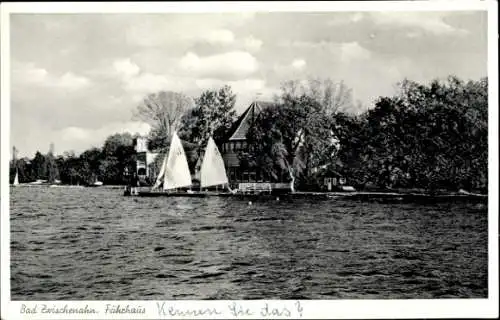 Ak Bad Zwischenahn in Niedersachsen, Fährhaus, Segelboote am Anleger