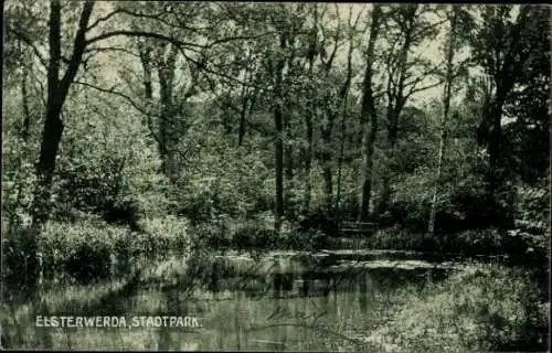 Ak Elsterwerda in Brandenburg, Stadtpark, Teilansicht