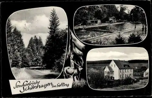 Ak Schönhagen im Solling Uslar in Niedersachsen, Schwimmbad, Teilansicht, Hirsch, Pension Remhof