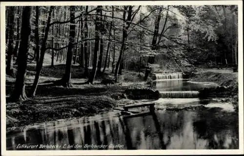 Ak Berlebeck Detmold im Teutoburger Wald, Berlebecker Quellen