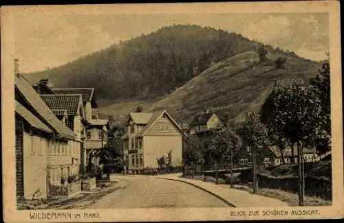 Ak Wildemann Clausthal Zellerfeld im Oberharz, Blick zur schönen Aussicht