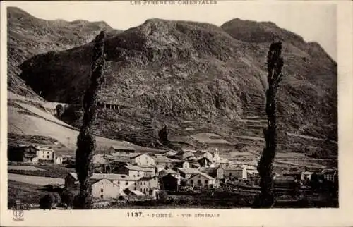 Ak Porte Pyrénées-Orientales, Vue generale