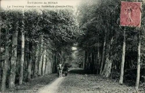 Ak Royan environs Charente Maritime, Le Tramway Forestier au Barrachois, Grande Cote