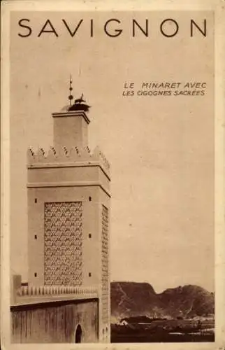 Algerische Ak, Minarett mit heiligen Störchen, Savignon