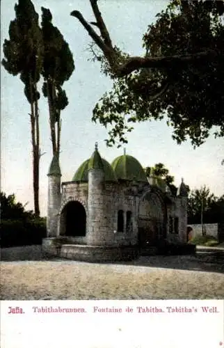 Ak Jaffa Israel, Tabithabrunnen, Fontaine de Tabitha