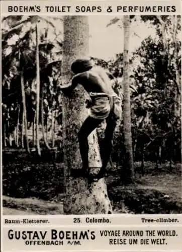 Foto Colombo Ceylon Sri Lanka, Baum-Kletterer, Reklame Boehm's Toilet Soaps