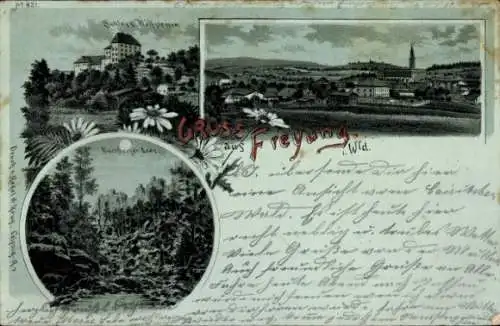 Mondschein Litho Freyung im Bayerischen Wald, Gesamtansicht, Schloss Wolfstein, Buchberger Leite