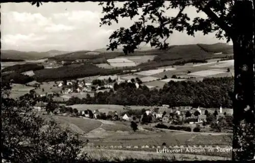 Ak Albaum Kirchhundem im Sauerland, Panorama