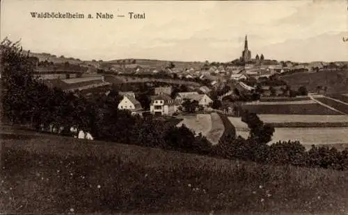 Ak Waldböckelheim in Rheinland Pfalz, Blick auf den Ort mit Umgebung