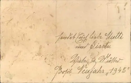 Präge Ak Glückwunsch Neujahr, Schneemann, Schwein, Tannenzweige