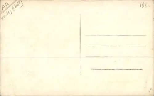 Ak Katze mit Schleife, Tierporträt