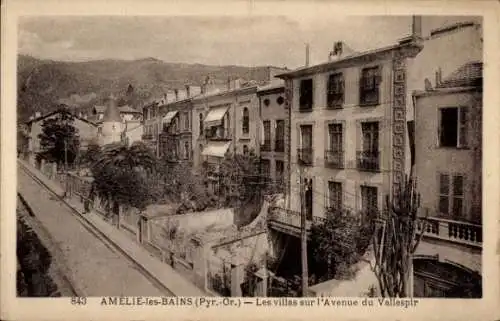 Ak Amelie les Bains Pyrénées Orientales, Die Villen an der Avenue du Vallespir