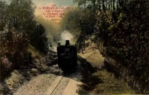 Ak Bureau Saint Palais sur Mer Charente Maritime, Cote d'Argent, le Tramway dans la Foret