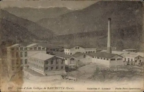 Ak Barchetta Haute Corse, Gallussäurefabrik