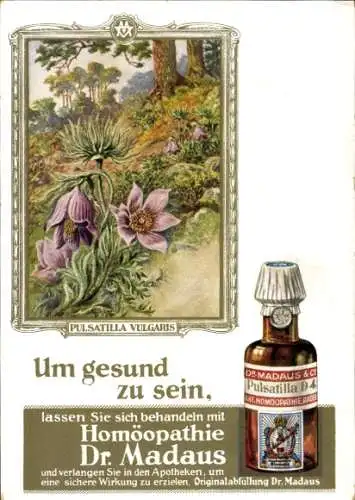 Ak Reklame, Homöopathie Dr. Madaus, Pulsatilla Vulgaris, Kuhschelle