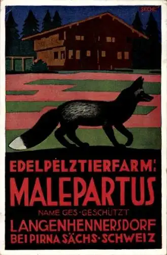 Ak Langenhennersdorf Bad Gottleuba in Sachsen, Edelpelztierfarm Malepartus, Fuchs
