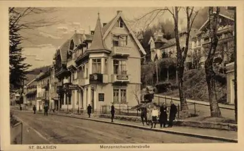 Ak St. Blasien im Schwarzwald, Menzenschwanderstraße