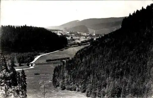 Ak Stützerbach Ilmenau Thüringer Wald, Panorama