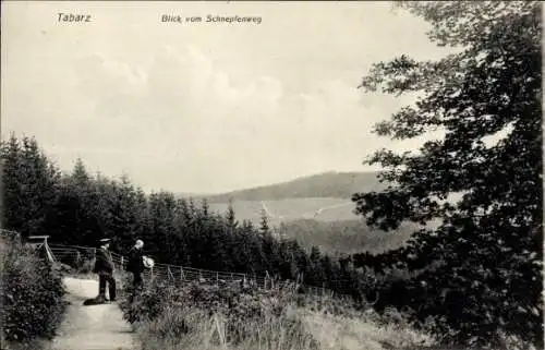 Ak Tabarz im Thüringer Wald, Blick vom Schnepfenweg auf die Gegend