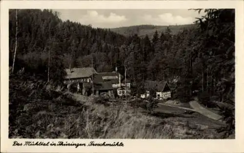 Ak Eisenberg in Thüringen, Froschmühle, Mühltal