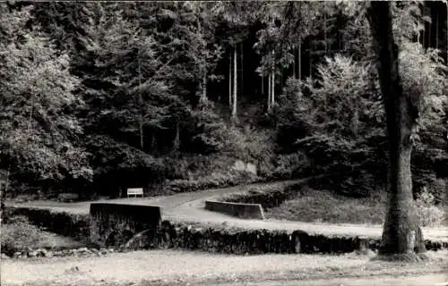 Ak Schwarza im Thüringer Wald, Goldisthal, Brücke