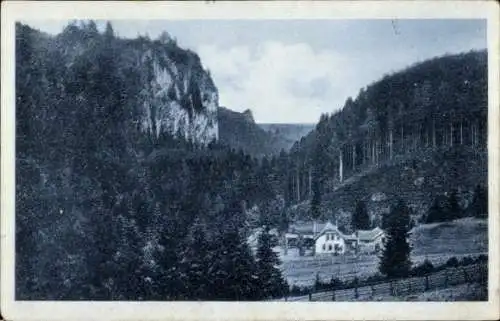 Ak Tambach Dietharz Thüringer Wald, Fels Falkenstein