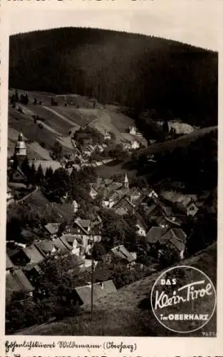 Ak Wildemann Clausthal Zellerfeld im Oberharz, Teilansicht, Klein-Tirol im Oberharz