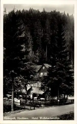 Ak Hohegeiß Braunlage im Oberharz, Hotel Wolfsbachmühle, Wald