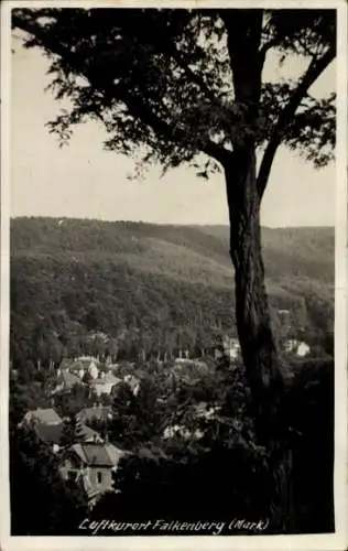 Ak Falkenberg Mark, Blick auf den Ort mit Wald, Baum