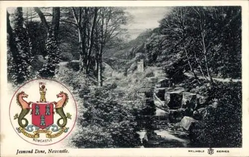 Wappen Ak Newcastle upon Tyne Nordostengland, Jesmond Dene Park, Flusslandschaft