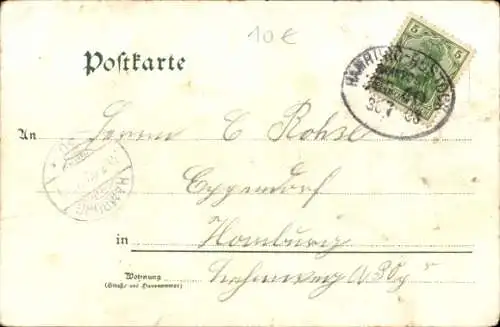 Passepartout Ak Güstrow in Mecklenburg, Domkirche, Schwäne