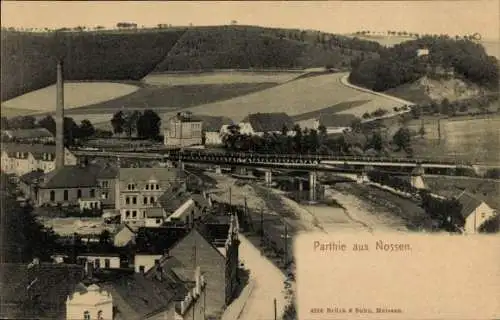 Ak Nossen in Sachsen, Teilansicht, Brücke