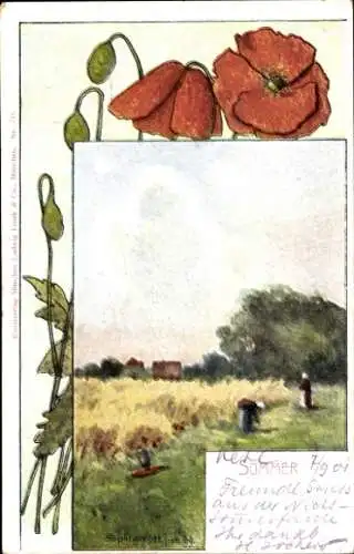 Künstler Ak Splitgerber, Sommer, Blühende Blumen, Feld, Getreide