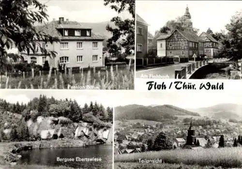 Ak Floh Seligenthal in Thüringen, Pension Böhm, Am Flohbach, Bergsee Ebertswiese, Teilansicht