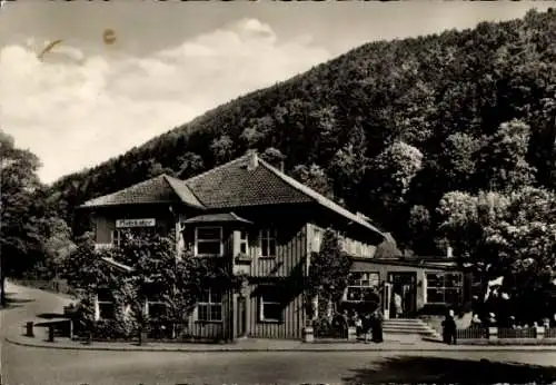 Ak Netzkater Ilfeld am Harz Thüringen, Hotel und Pension