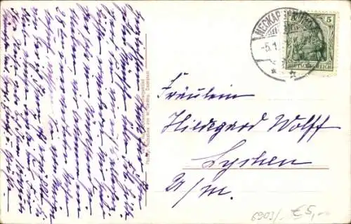 Ak Neckargemünd am Neckar, Gesamtansicht