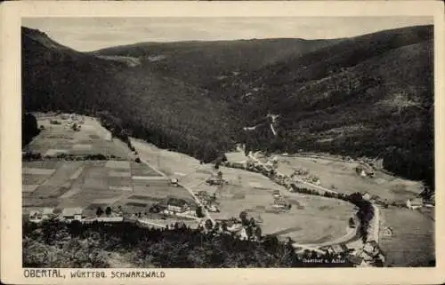 Ak Obertal Baiersbronn im Schwarzwald, Panorama