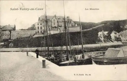 Ak Saint Valery en Caux Seine Maritime, Mouettes