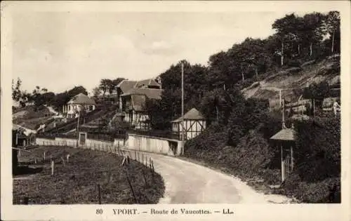 Ak Yport Seine Maritime, Route de Vaucottes