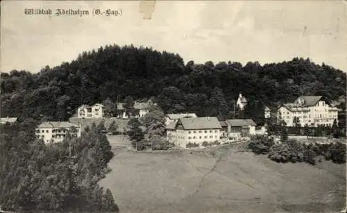 Ak Adelholzen Siegsdorf in Oberbayern, Panorama