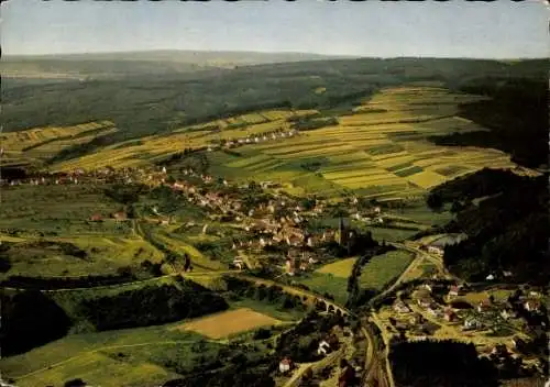 Ak Nonnweiler Saarland, Panorama, Felder, Luftaufnahme