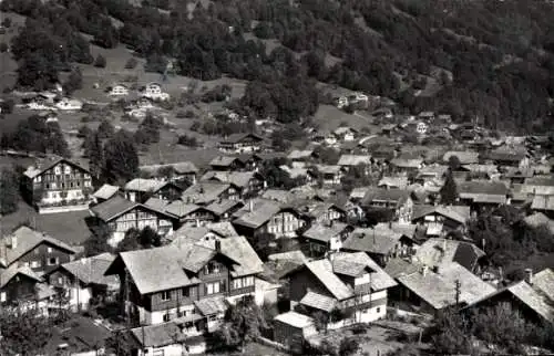 Ak Ringgenberg Kanton Bern, Teilansicht