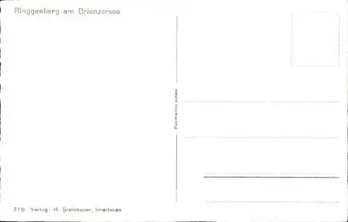 Ak Ringgenberg Kanton Bern, Teilansicht
