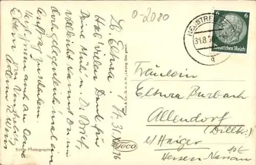 Ak Neustrelitz in Mecklenburg, Tiergarten