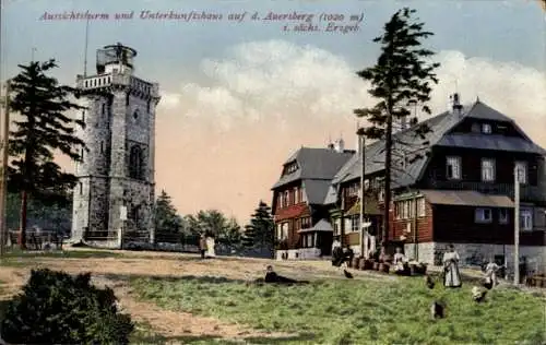 Ak Wildenthal Eibenstock im Erzgebirge, Auersberg, Aussichtsturm und Unterkunftshaus