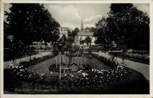 Ak Bad Elster im Vogtland, Rosengarten