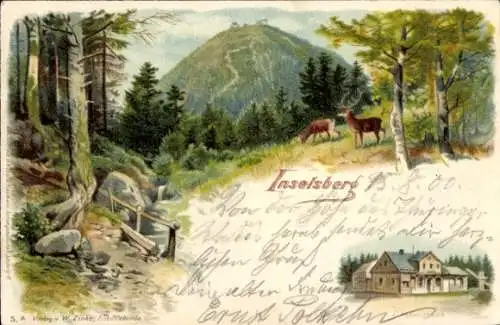 Litho Brotterode in Thüringen, Inselsberg, Hirsche, Heuberghaus