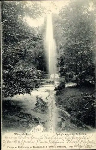 Ak Hamburg Wandsbek, Springbrunnen im 3. Gehölz, Wald